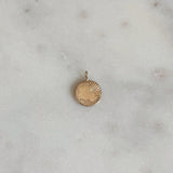 Louisiana Burst Pendant
